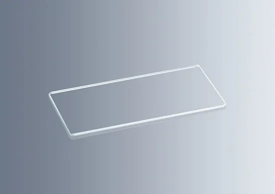 Microscope Cover Glasses for Counting Chamber Sedgewick-Rafter 60 x 30 x 1mm