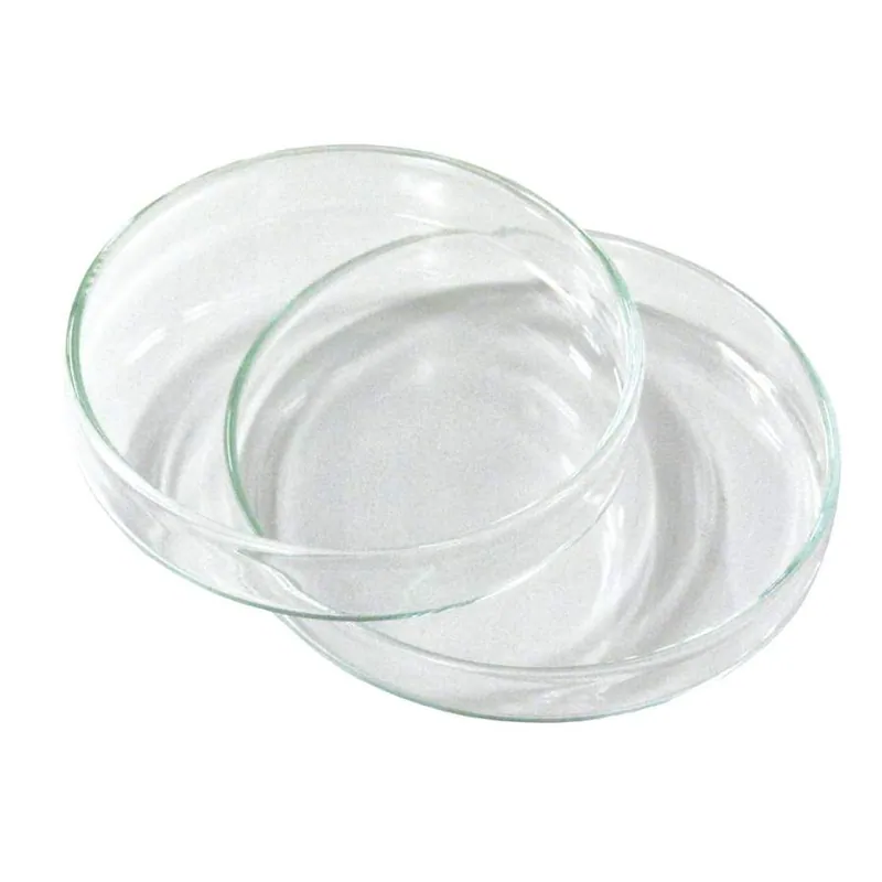 Petri Dish Glass Borosilicate 120 x 20mm