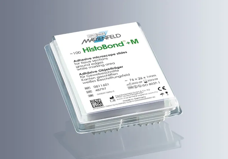 HistoBond®+M Microscope Slide, White, 90 degree Ground Edge with Clipped Corners (20×100/Carton)