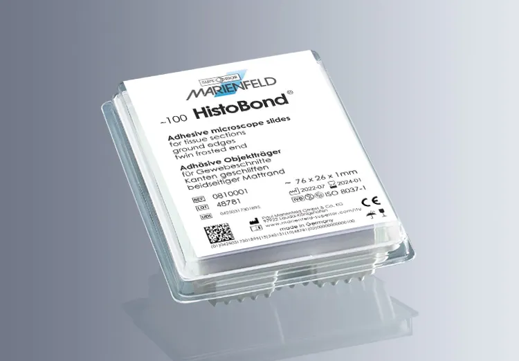 HistoBond® Adhesive Microscope Slide, Twin Frosted, 90 degree Ground Edge and Clipped Corners (20×100/Carton)
