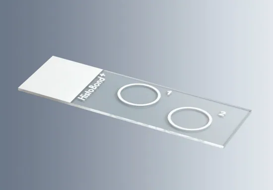HistoBond® + Adhesive Microscope Slide with 1 Circle of Approx. 13mm inside diameter, White, 90 degree Ground Edge (20×100/Carton)